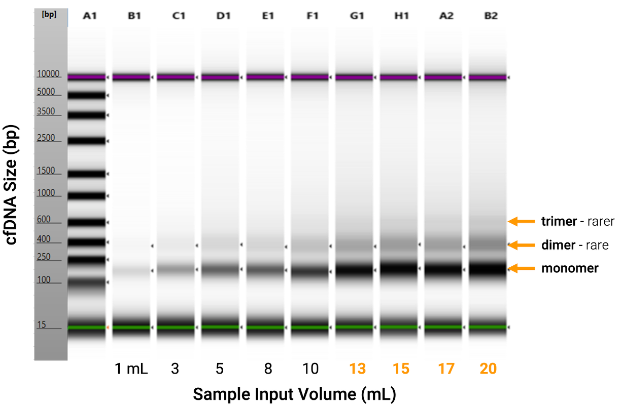 greater cfDNA yield by input sample volume for homepage greater cfDNA yield by input sample volume for homepage