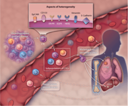 cancer diagnostics cancer diagnostics