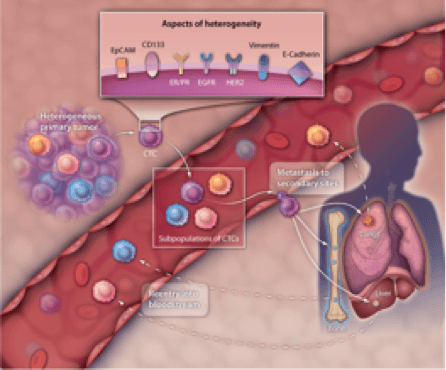 cancer diagnostics