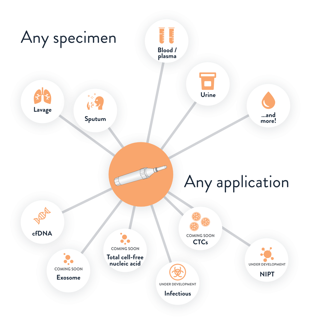 any-sample-any-application any-sample-any-application