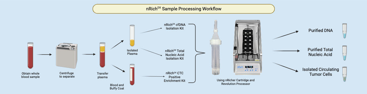 Overview of CTC enrichment and cfDNA and cfRNA extraction using Revolution Kits