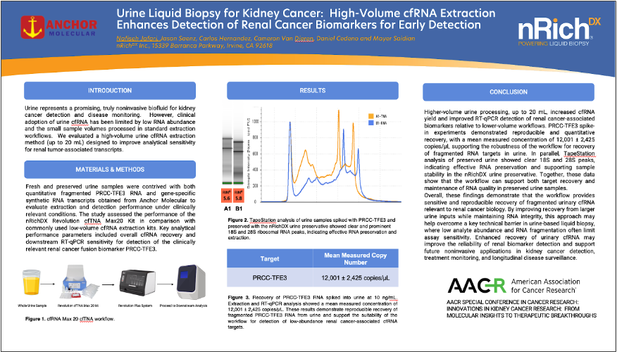 Urine Liquid Biopsy for Kidney Cancer: High-Volume cfRNA Extraction Enhances Detection of Renal Cancer Biomarkers for Early Detection resource thumbnail