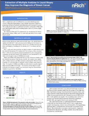 Extraction of Multiple Analytes in Liquid Biopsy May Improve the Diagnosis of Breast Cancer resource thumbnail